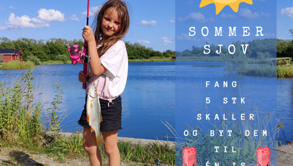 Sommersjov for børnene